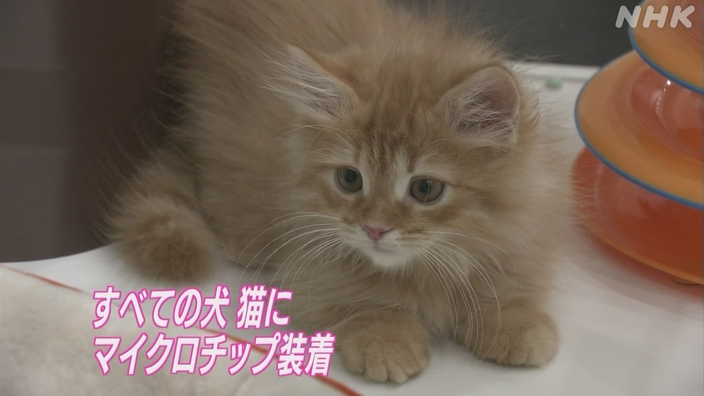 Article header image