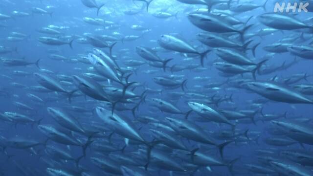 Article header image