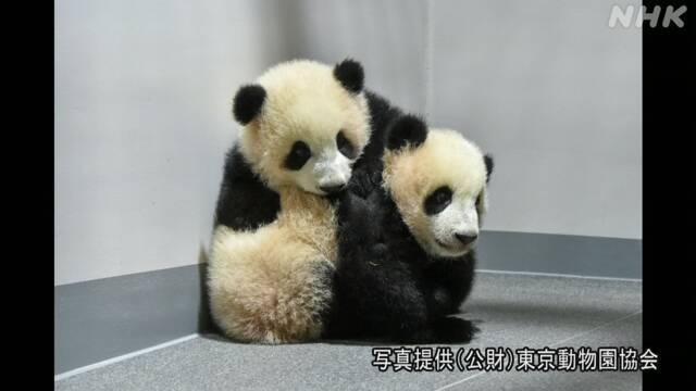 Article header image