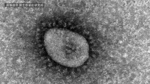 Article header image