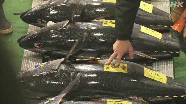 Article header image