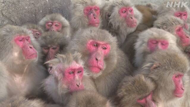 Article header image