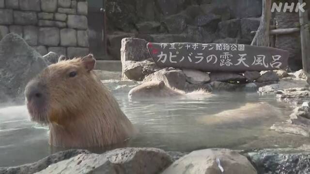 Article header image