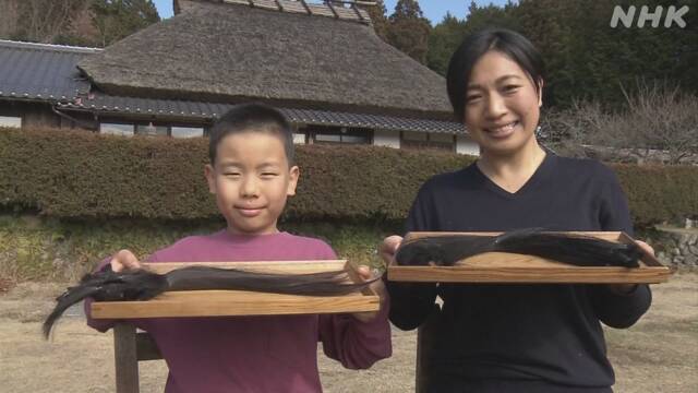 Article header image