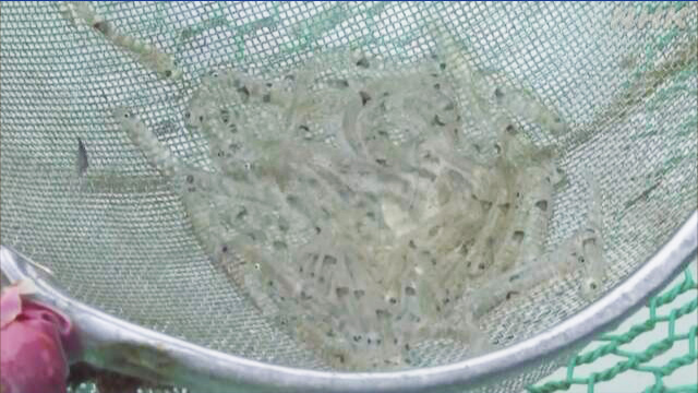 Article header image