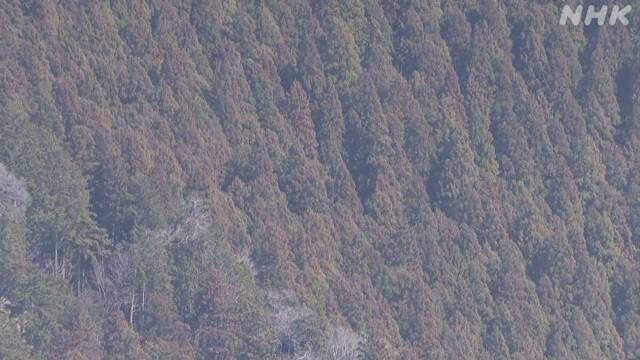 Article header image