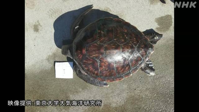 Article header image