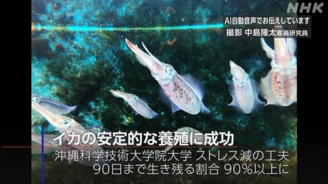 Article header image