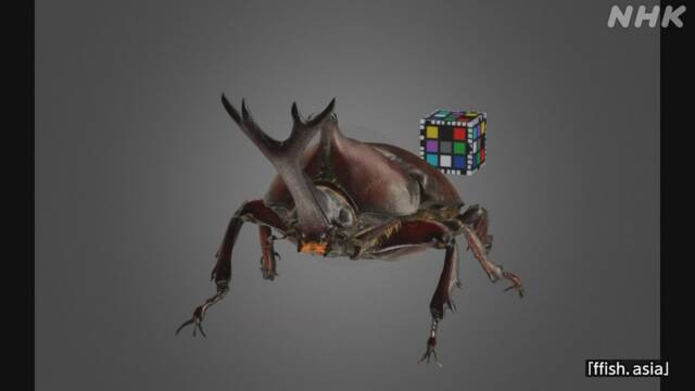 Article header image