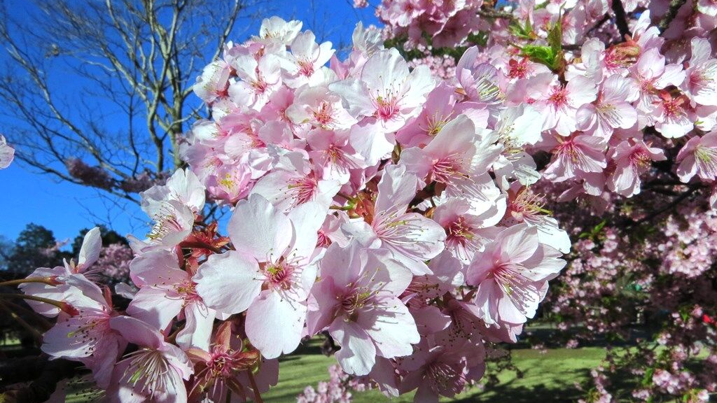 Article header image