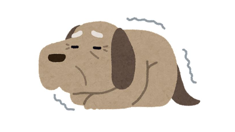 Article header image