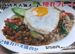 2種類のガパオ盛り合わせ