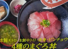 大トロ、中トロ、赤身、びんちょう鮪の食べ比べも。