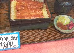 国産の鰻を使用