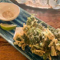 カルダモン塩とライムで食べる、爽やかな香りのかき揚げ