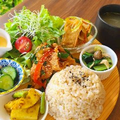 Lunch of several vegetable side dishes, soup and brown rice