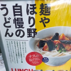 ナスを使った揚出しうどん