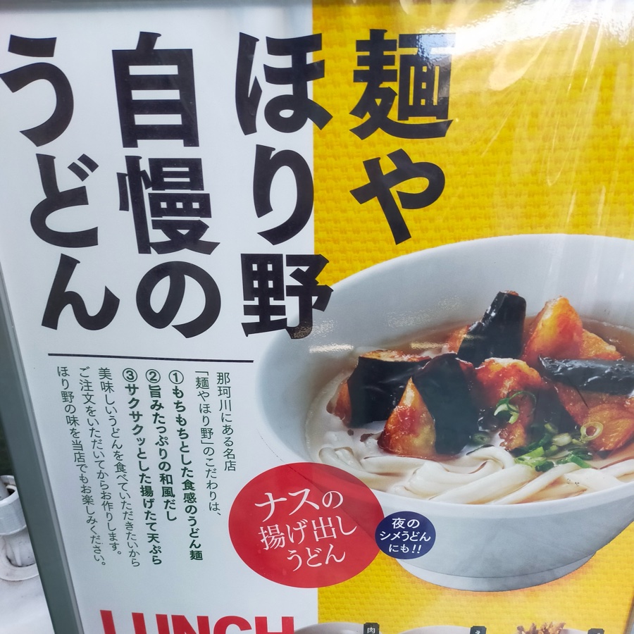 ナスの揚出しうどん