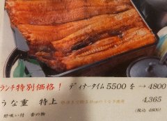 使用的是 50 厘米左右的活大鳗鱼。