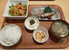 イワシやサラダ、味噌汁などが楽しめるメニュー