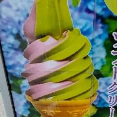 Luxurious soft serve ice cream with purple sweet potato and the finest matcha green tea at the same time