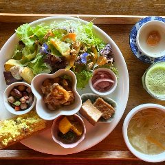 具材が豊富な植物性のランチプレート