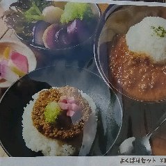 Un satisfactorio conjunto de verduras Kamakura servidas con curry