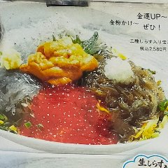 A seafood bowl topped with three kinds of whitebait, sea urchin and salmon roe