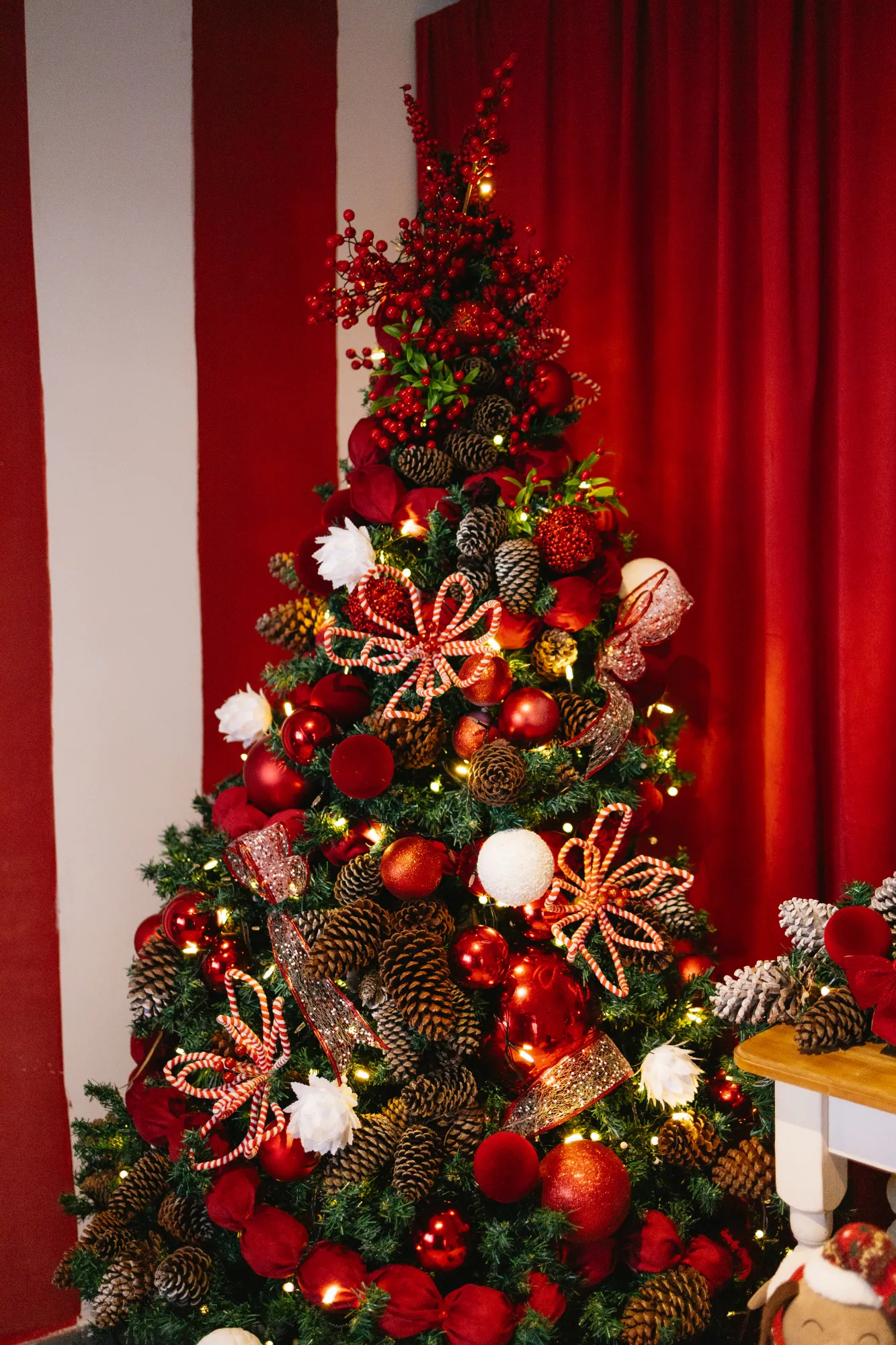 Natal - Sala + Hall + Garden — foto 5