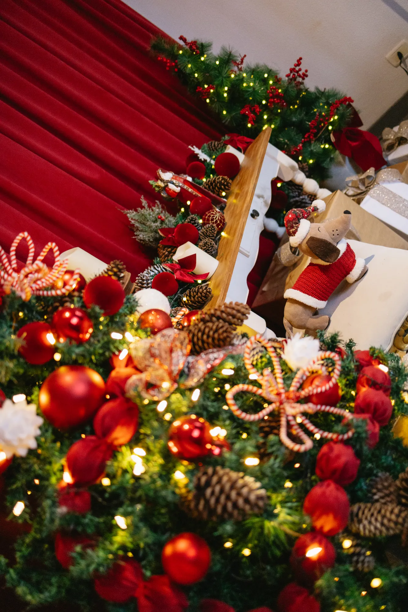 Natal - Sala + Hall + Garden — foto 6