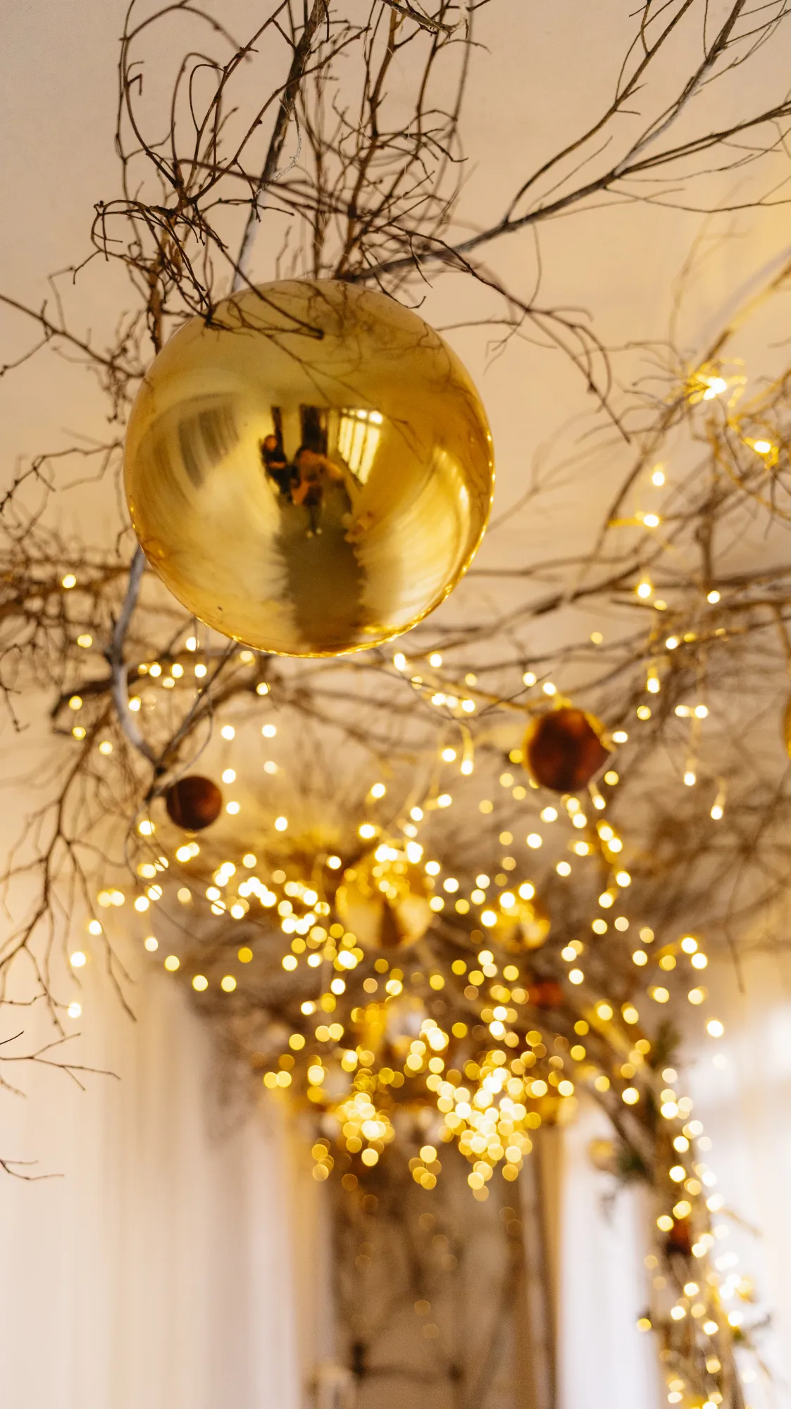 Natal - Sala + Hall + Garden — foto 8