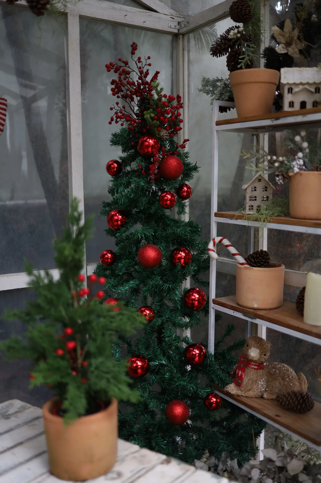 Natal - Sala + Hall + Garden — foto 12