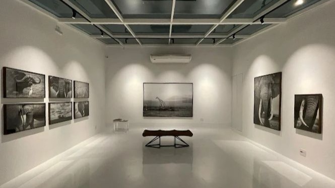 Sala de exposição da Casa Seva