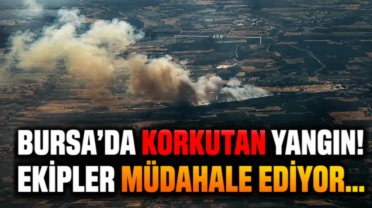 Bursa’da korkutan yangın! Ekipler müdahale ediyor…