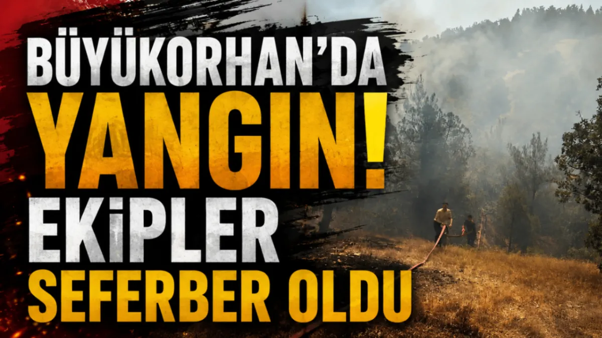 Büyükorhan'da yangın! Ekipler seferber oldu