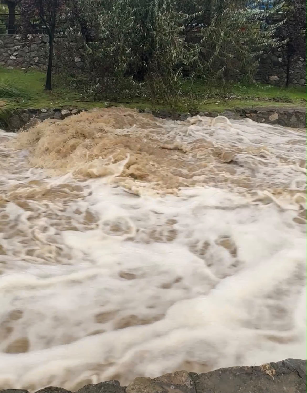 Bursa'da Kaplıkaya deresi coştu! Sular sınıra dayandı...