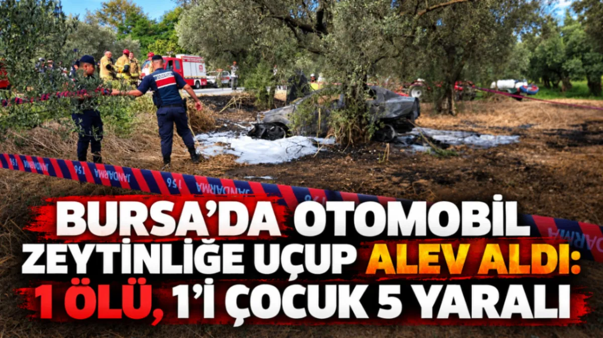 Bursa’da otomobil zeytinliğe uçup alev aldı: 1 ölü, 1’i çocuk 5 yaralı