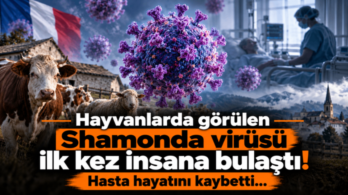 Hayvanlarda görülen Shamonda virüsü ilk kez insana bulaştı! Hasta hayatını kaybetti...