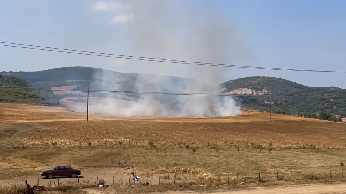 Bursa'da tarlayı ateşe veren 16 yaşındaki şüpheli yakalandı