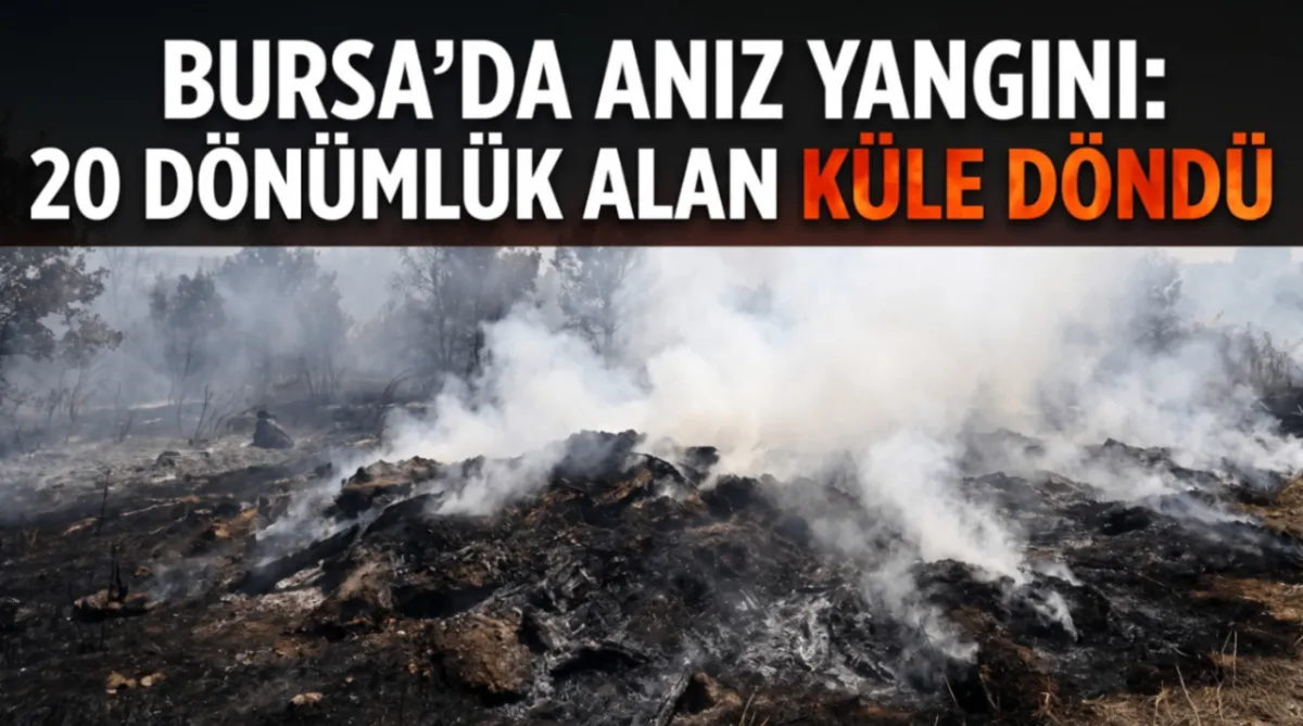 Bursa’da anız yangını: 20 Dönümlük alan küle döndü