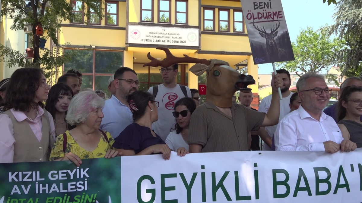 Bursa'da Kızıl Geyik avına tepki: "doğa satılık değil"