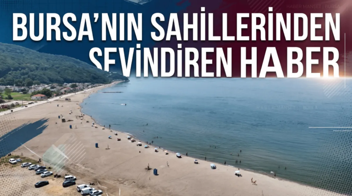 Bursa’nın sahillerinden sevindiren haber