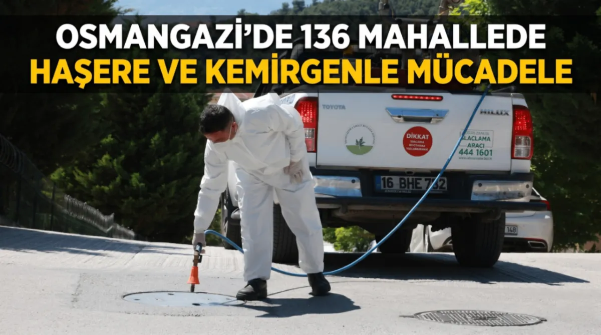 Osmangazi’de haşere ve kemirgenlere karşı yoğun mücadele