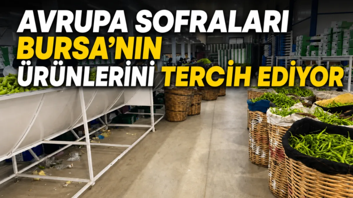 Avrupa sofraları Bursa’nın ürünlerini tercih ediyor
