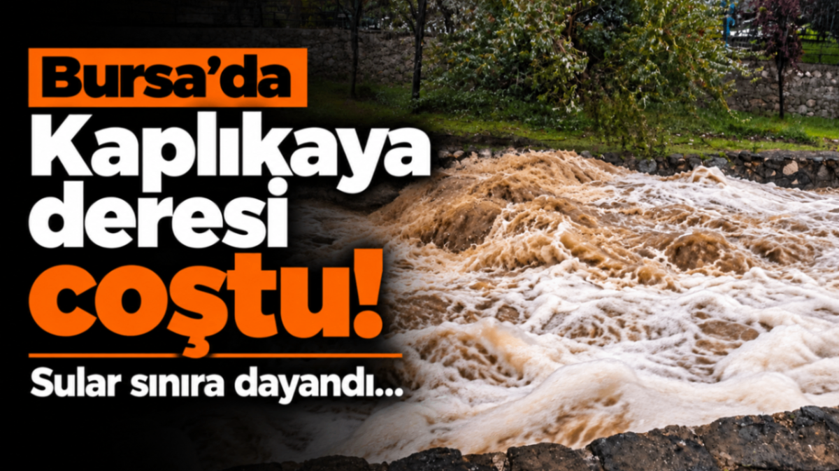 Bursa'da Kaplıkaya deresi coştu! Sular sınıra dayandı...
