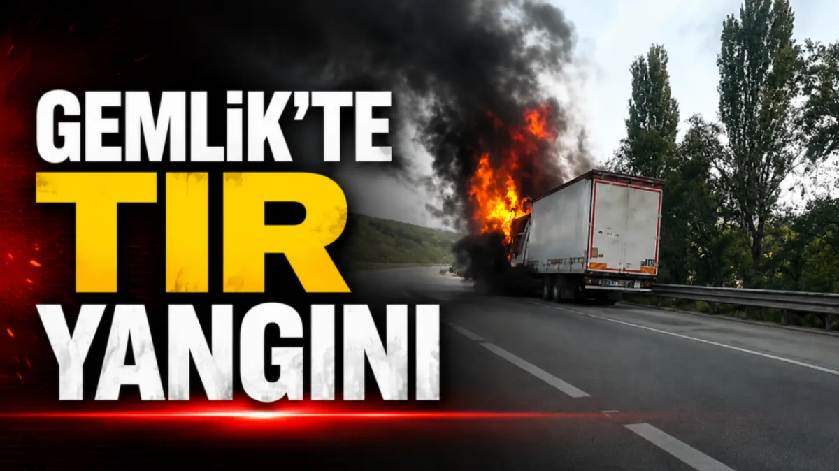 Gemlik'te tır yangını