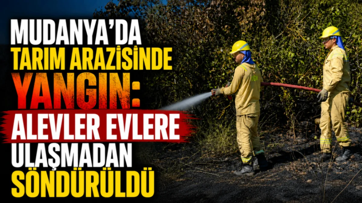Mudanya’da tarım arazisinde yangın: Alevler evlere ulaşmadan söndürüldü