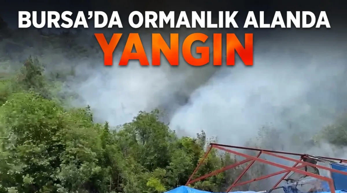 Bursa’da ormanlık alanda yangın