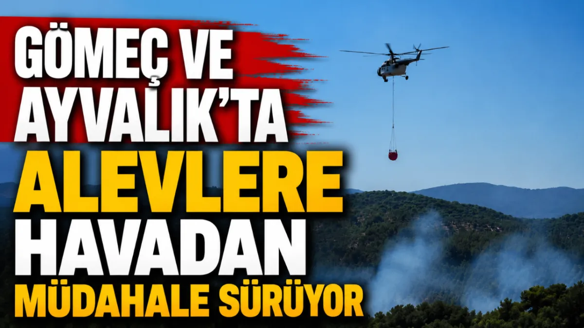 Gömeç ve Ayvalık'ta alevlere havadan müdahale sürüyor