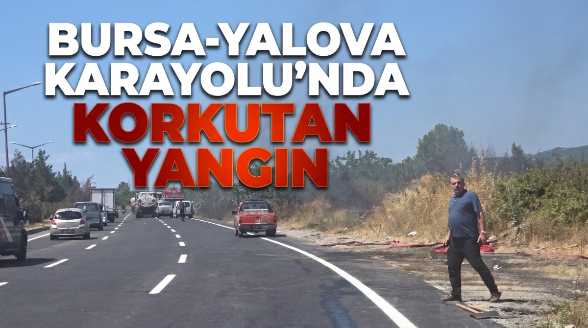 Bursa-Yalova Karayolu'nda Korkutan Yangın!
